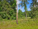 1190 Highway 59 - Photo 9
