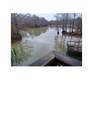 129 County Road 2859 - Photo 5