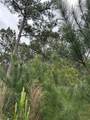 267 Road 5102 - Photo 3