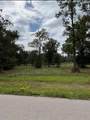 Lot 3 Dahlia Road - Photo 2