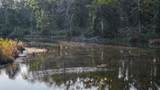 TBD Butler Road - Photo 46