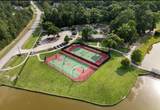 28214 Benders Landing Blvd - Photo 8