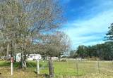 31 County Road 386 Off Fm 1725 - Photo 3