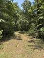 0 E State Highway 294 - Photo 5