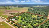 28222 Margerstadt Road - Photo 5