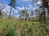 0 Scamper Lane - Photo 2