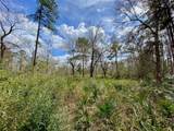 0 Scamper Lane - Photo 3