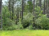 12-22-54 Grey Feather Road - Photo 5
