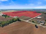155.309 Acres Fm 50 - Photo 10