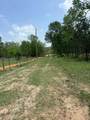 0000 Denson Reed Road - Photo 4