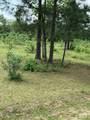 0000 Denson Reed Road - Photo 5