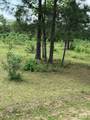 0000 Denson Reed Road - Photo 7