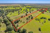 1005 County Road 164 - Photo 5
