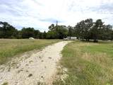 1669 Beaver Creek Drive - Photo 4