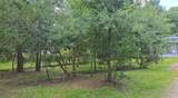 23806 Brushy Woods Street - Photo 8