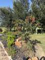 7490 Fm 2546 Road - Photo 6