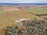 5491 County Road 209 - Photo 23