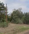 145 County Road 411 - Photo 4