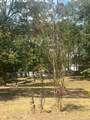 185 Amber Lane - Photo 4