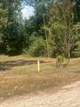 185 Amber Lane - Photo 8