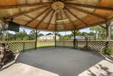 28081 Ivy Oaks Lane - Photo 22