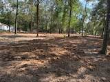 33102 Octavia Drive - Photo 2
