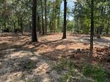 33102 Octavia Drive - Photo 4