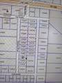 33102 Octavia Drive - Photo 5