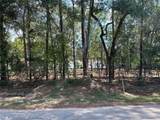 33102 Octavia Drive - Photo 8