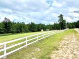 247 Blooming Dogwood Road - Photo 1