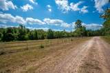247 Blooming Dogwood Road - Photo 4