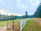 247 Blooming Dogwood Road - Photo 6