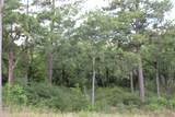 Tract 173 Private Road 1311 - Photo 15
