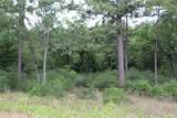 Tract 173 Private Road 1311 - Photo 17