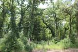 Tract 173 Private Road 1311 - Photo 26