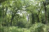 Tract 173 Private Road 1311 - Photo 28