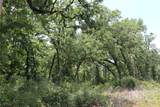 Tract 173 Private Road 1311 - Photo 29