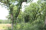 Tract 173 Private Road 1311 - Photo 31