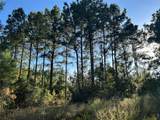 Tract 11 Fm 230 - Photo 1