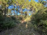 Tract 11 Fm 230 - Photo 5