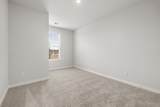 26127 Venus Trap Trail - Photo 15