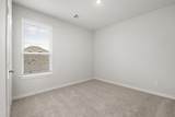 26127 Venus Trap Trail - Photo 16