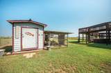 172 Curlew Street - Photo 22
