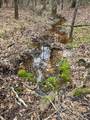 TBD Off Of County Road 2580 - Photo 1