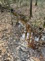 TBD Off Of County Road 2580 - Photo 2