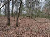 TBD Off Of County Road 2580 - Photo 20