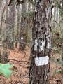 TBD Off Of County Road 2580 - Photo 24