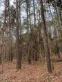 TBD Off Of County Road 2580 - Photo 3