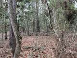 TBD Off Of County Road 2580 - Photo 6