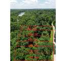 1 County Road 2166 - Photo 1